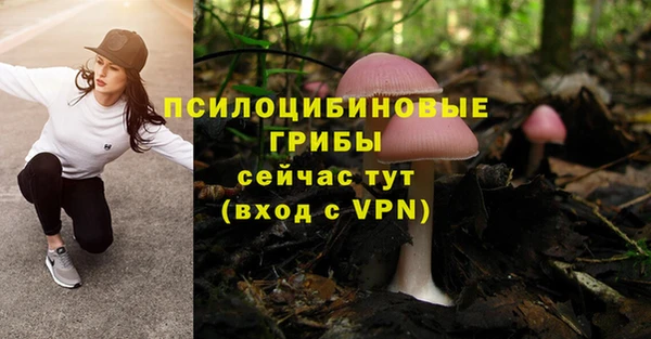 герыч Мегион
