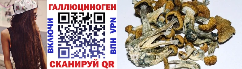 Псилоцибиновые грибы MAGIC MUSHROOMS Россошь